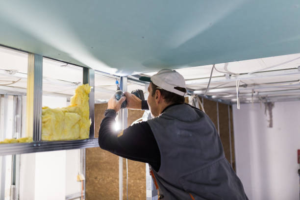 Best Insulation Installation Services in Reserve, LA