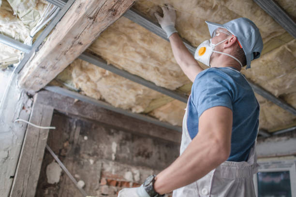 Best Commercial Insulation in Reserve, LA